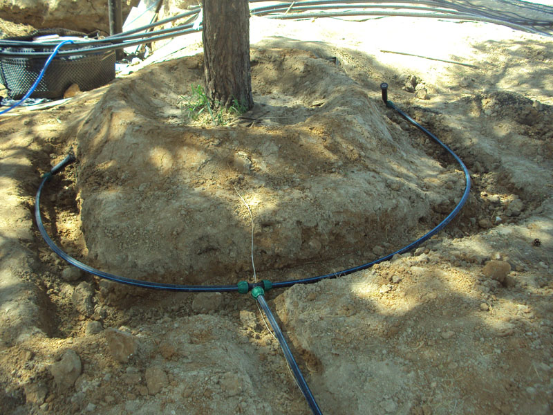 Полив участка